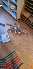 20191129_083010.jpg 20191129_083010.jpg