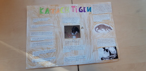 20200116_144459.jpg 20200116_144459.jpg