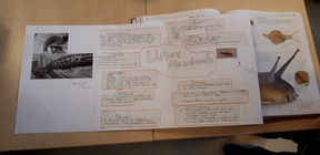 20200116_144447.jpg 20200116_144447.jpg