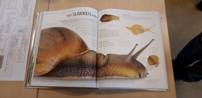 20200116_144410.jpg 20200116_144410.jpg