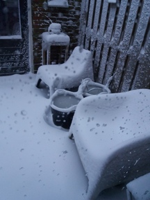 20210207_081536.jpg 20210207_081536.jpg